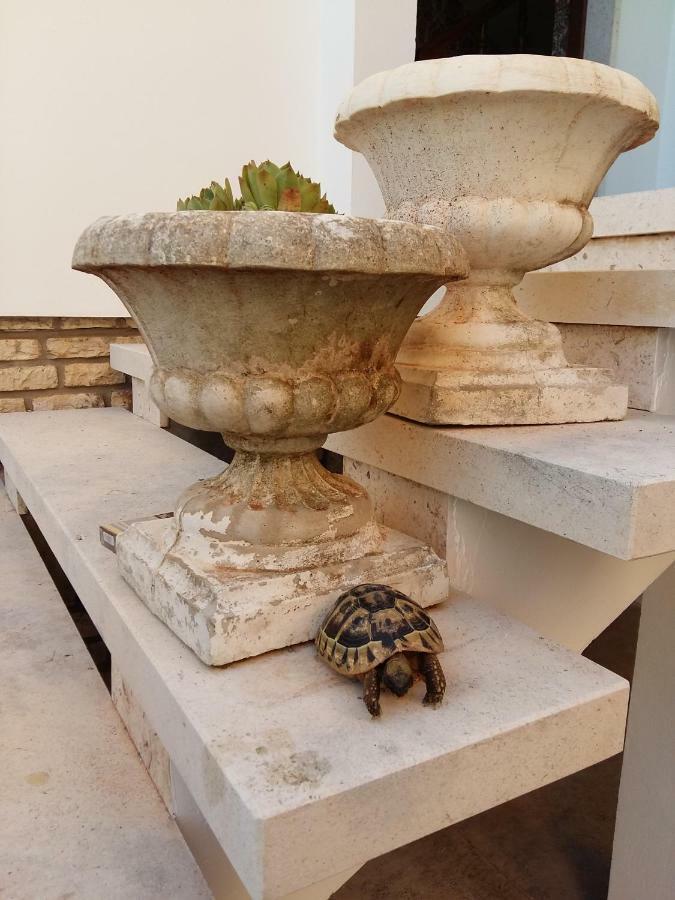 Villa Feodora Biograd na Moru Kültér fotó